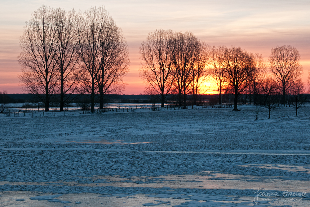 001_Biebrza - marzec 2013